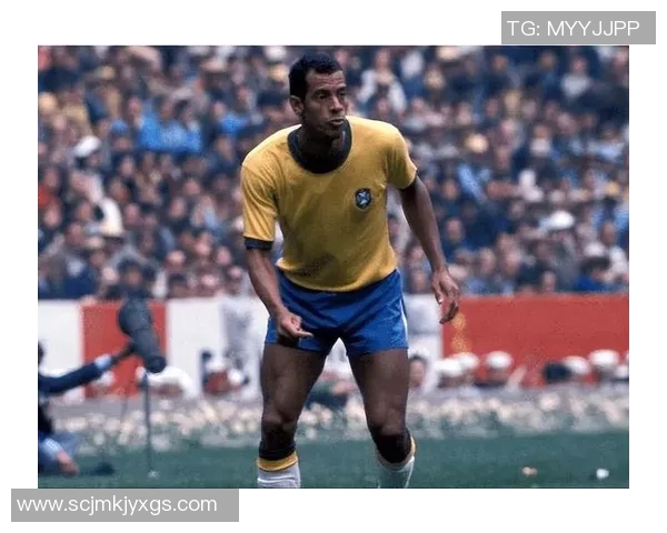 巴西足球明星因酗酒问题引发热议的背后故事揭秘 巴西足球明星因酗酒问题引发热议的背后故事揭秘