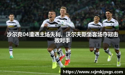沙尔克04遭遇主场失利，沃尔夫斯堡客场夺冠击败对手