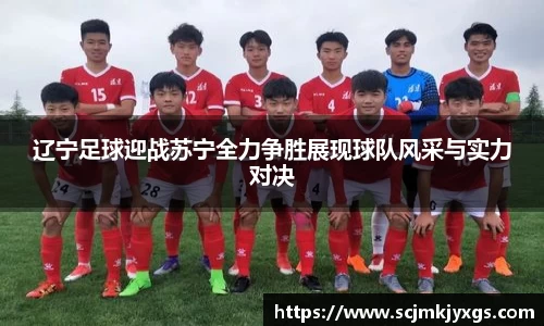 辽宁足球迎战苏宁全力争胜展现球队风采与实力对决