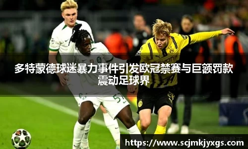 多特蒙德球迷暴力事件引发欧冠禁赛与巨额罚款震动足球界