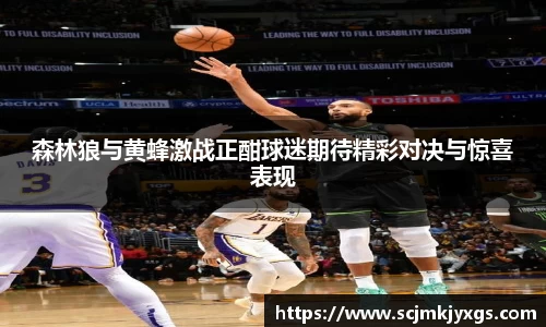 森林狼与黄蜂激战正酣球迷期待精彩对决与惊喜表现