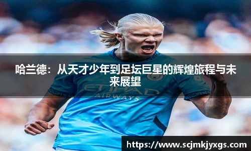 天博官网入口首页